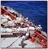 Click image for larger version

Name:	85-Arabian Reefer, marts 1966, Merca, Somalia,bananer er nu blevet svunget op ad skibssiden, og .jpg
Views:	449
Size:	130.2 KB
ID:	17589