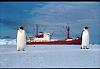 Click image for larger version

Name:	01-the penguin-sentries are posted in front of the Thala Dan in Antarctica in 1963..jpg
Views:	478
Size:	30.1 KB
ID:	21146